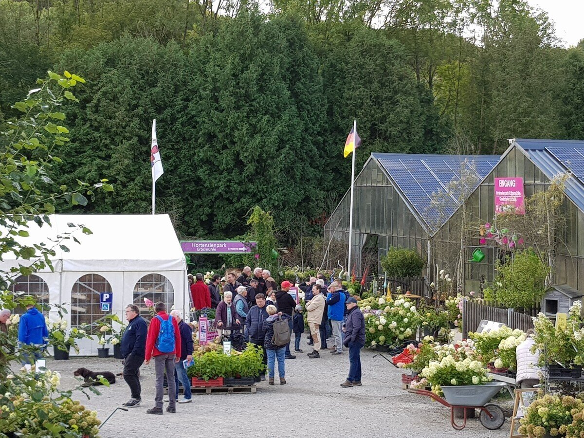 Immobilien Gartencenter verkaufen Immobilien Gartencenter verkaufen