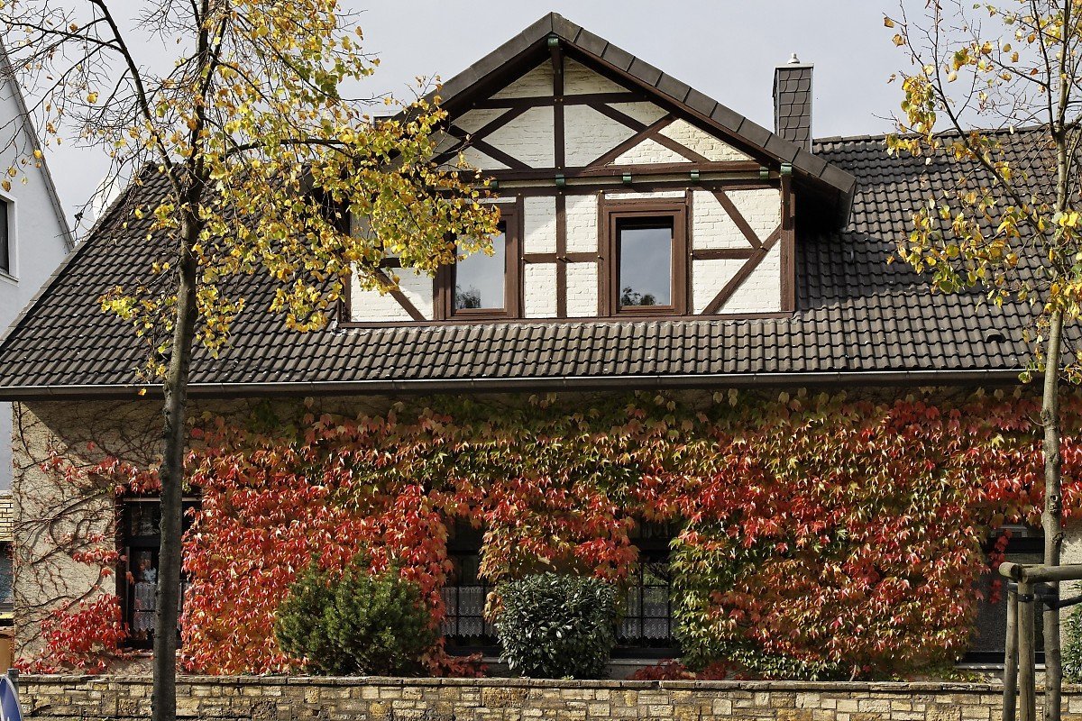 Immobilienmakler Elfgen Immobilienmakler Elfgen
