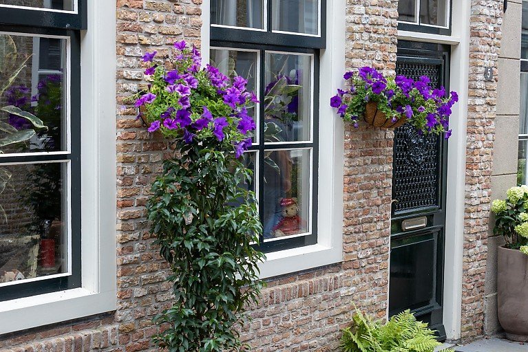 Immobilien in Niederlande Immobilien in Niederlande