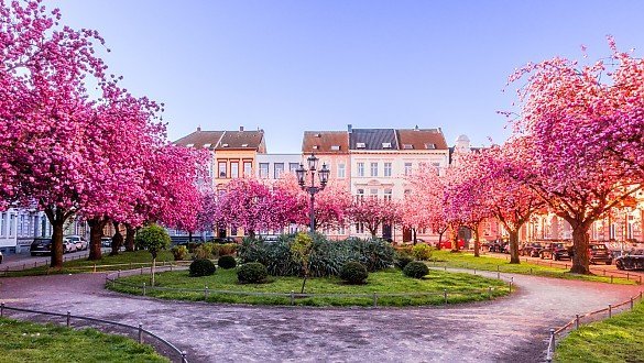 Immobilienmakler Krefeld Immobilienmakler Krefeld